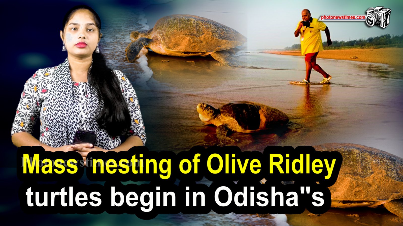 Odisha for Mass nesting A total of 2 lakh 42 thousand turtles have  arrived  Rushikulya