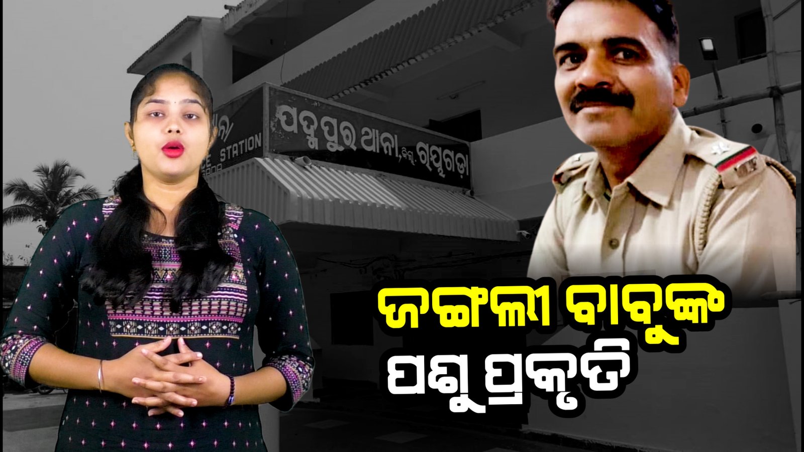 ଜଙ୍ଗଲୀ ବାବୁଙ୍କ ପଶୁ ପ୍ରକୃତି।