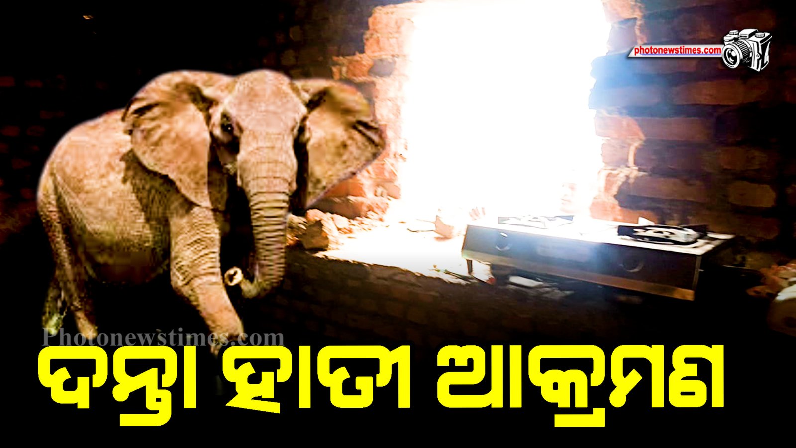 ଦନ୍ତା ହାତୀ ଆକ୍ରମଣ