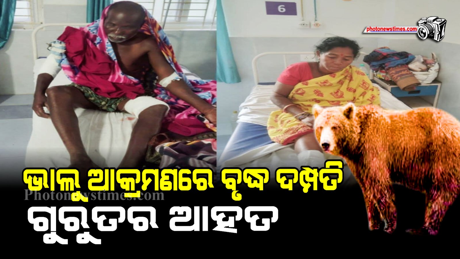 ଭାଲୁ ଆକ୍ରମଣରେ ବୃଦ୍ଧ ଦମ୍ପତି ଗୁରୁତର ଆହତ