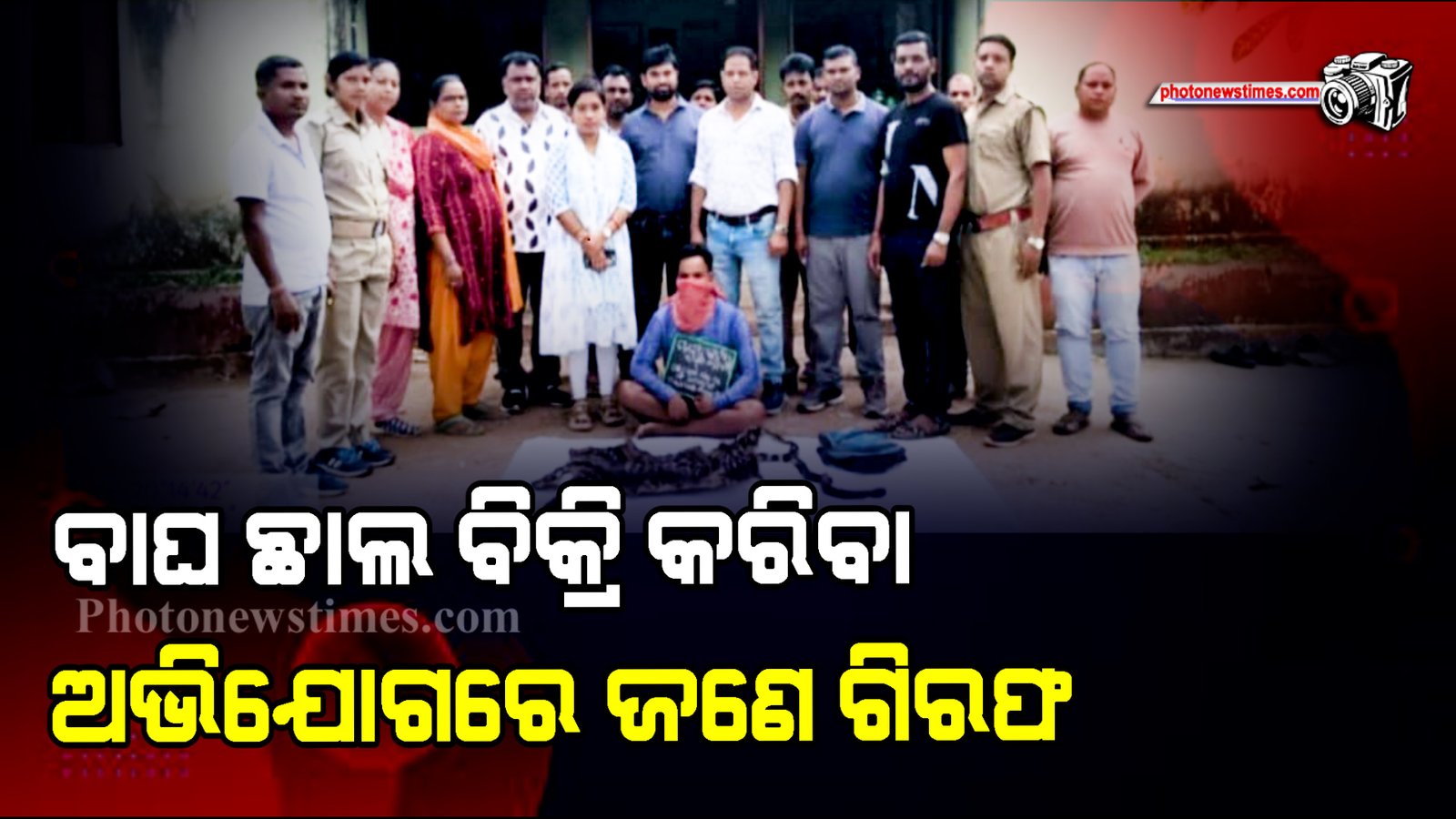 ବାଘ ଛାଲ ବିକ୍ରି କରିବା ଅଭିଯୋଗରେ ଜଣେ ଗିରଫ